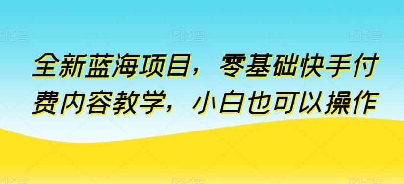 全新蓝海项目，零基础快手付费内容教学，小白也可以操作【揭秘】-爱找项目网