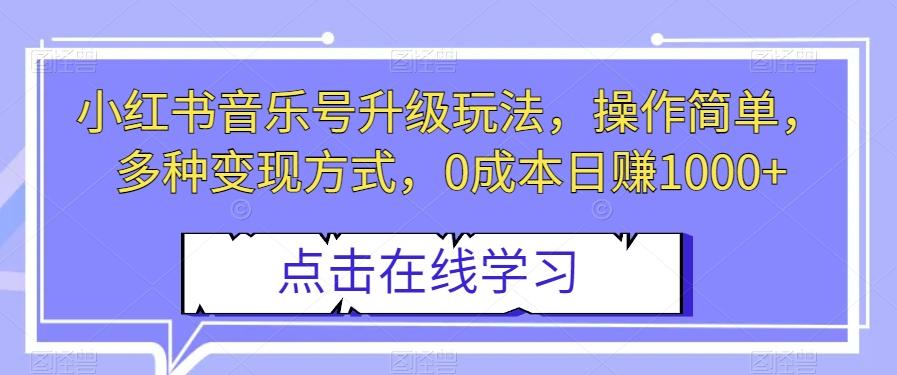 小红书音乐号升级玩法，操作简单，多种变现方式，0成本日赚1000+【揭秘】-爱找项目网