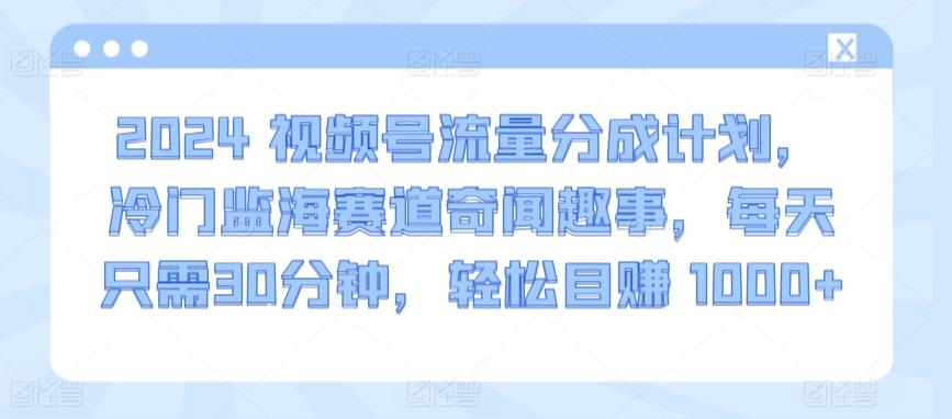 2024视频号流量分成计划，冷门监海赛道奇闻趣事，每天只需30分钟，轻松目赚 1000+【揭秘】-爱找项目网