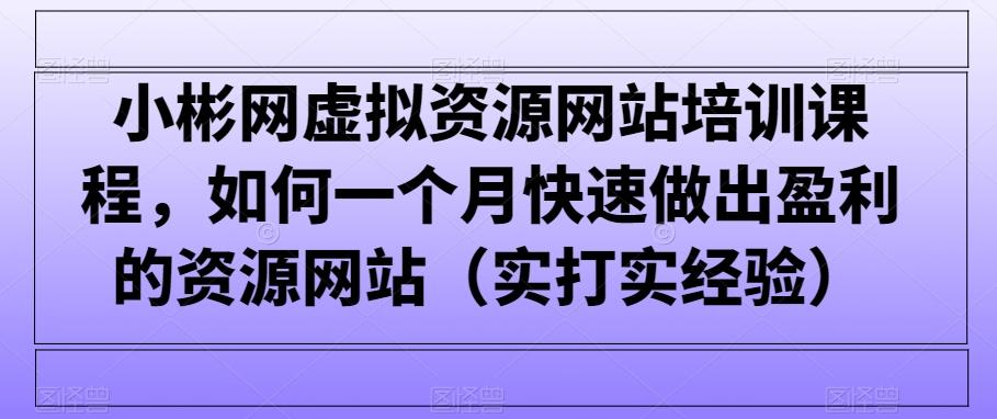 小彬网虚拟资源网站培训课程，如何一个月快速做出盈利的资源网站(实打实经验)-爱找项目网