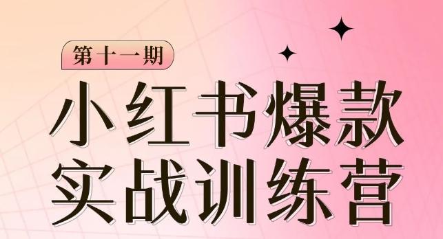 小红书博主爆款训练营第11期，手把手教你从0-1做小红书，从定位到起号到变现-爱找项目网