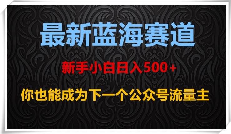 最新蓝海赛道，新手小白日入500+，你也能成为下一个公众号流量主【揭秘】-爱找项目网