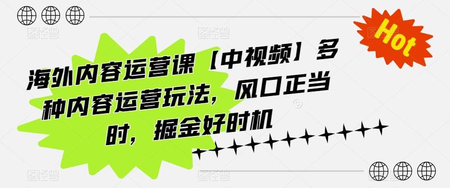海外内容运营课【中视频】多种内容运营玩法，风口正当时，掘金好时机-爱找项目网