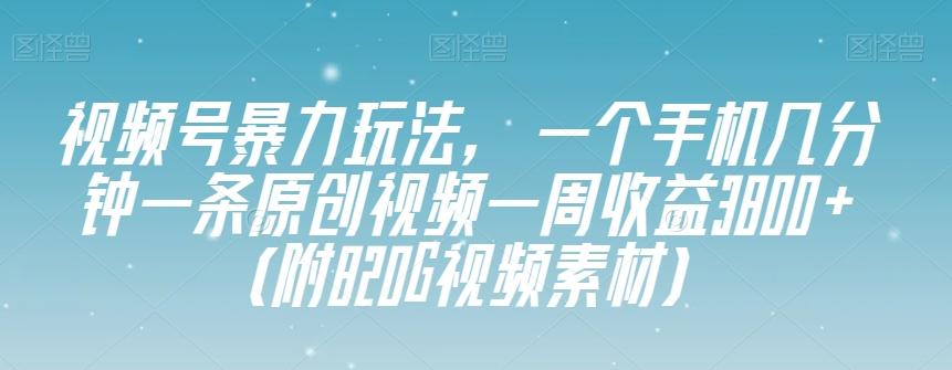 视频号暴力玩法，一个手机几分钟一条原创视频一周收益3800+（附820G视频素材）-爱找项目网
