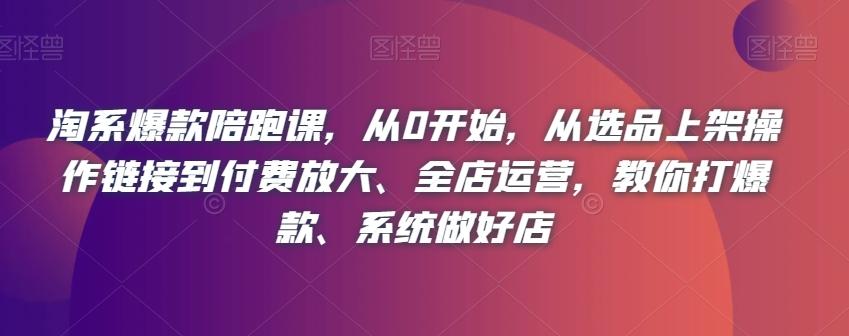 淘系爆款陪跑课，从0开始，从选品上架操作链接到付费放大、全店运营，教你打爆款、系统做好店-爱找项目网