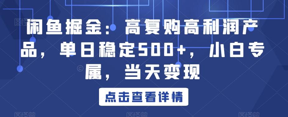 闲鱼掘金：高复购高利润产品，单日稳定500+，小白专属，当天变现-爱找项目网
