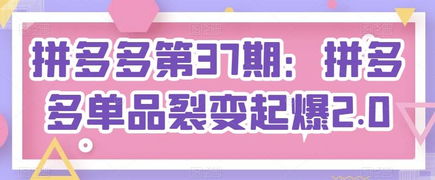 拼多多第37期：拼多多单品裂变起爆2.0-爱找项目网