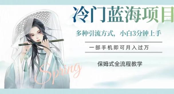 冷门蓝海项目，操作简单，小白3分钟上手，多种引流方式，保姆式全流程教学【揭秘】-爱找项目网