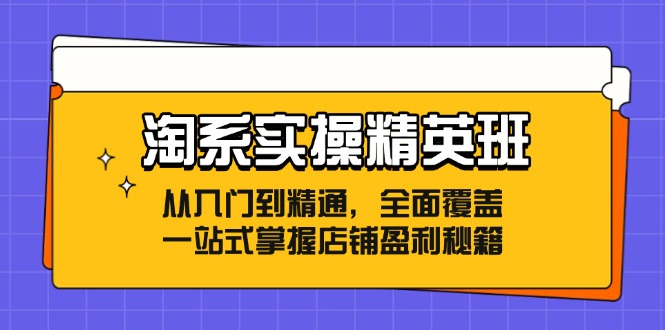 淘系实操精英班：从入门到精通，全面覆盖，一站式掌握店铺盈利秘籍-爱找项目网