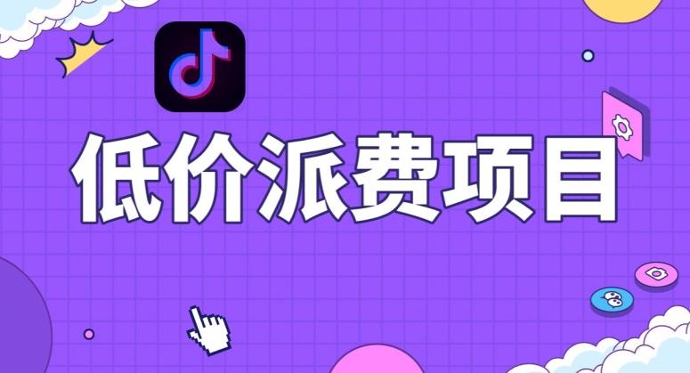 抖音低价派单项目，0门槛，日入1000+很轻松，小白可操作【揭秘】-爱找项目网