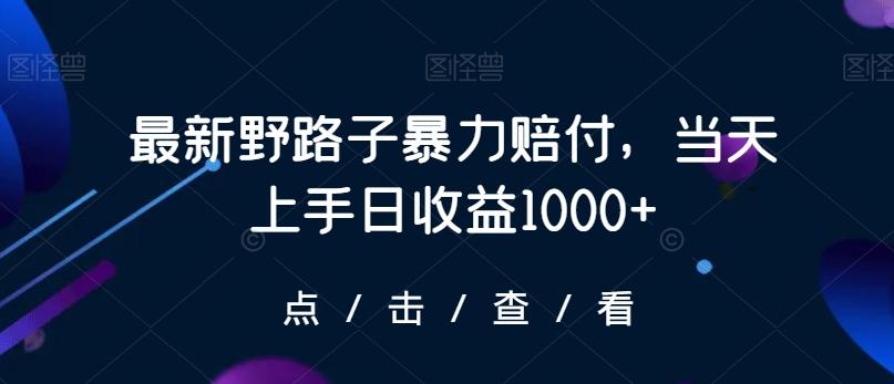 最新野路子暴力赔付，当天上手日收益1000+【仅揭秘】-爱找项目网