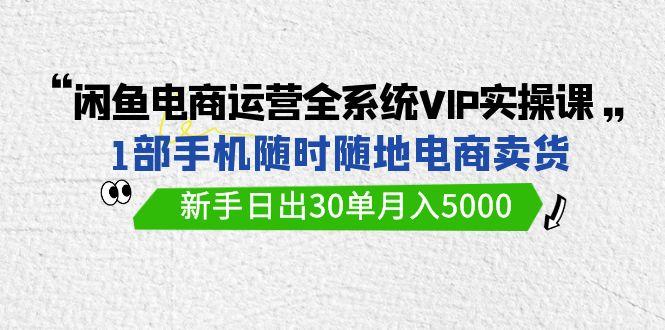 (9547期)闲鱼电商运营全系统VIP实战课，1部手机随时随地卖货，新手日出30单月入5000-爱找项目网