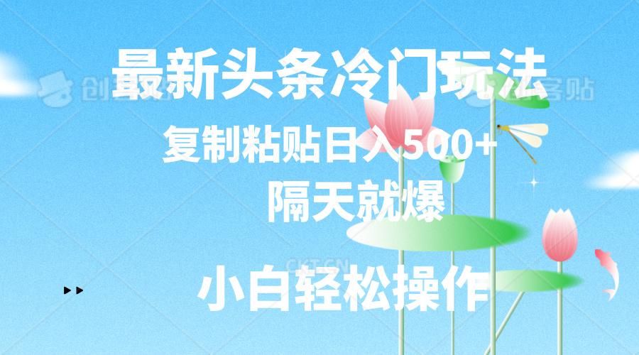最新头条冷门玩法，隔天就爆，复制粘贴日入500+-爱找项目网