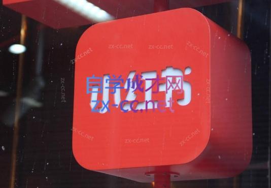 伊伊·红薯【高级班】运营课-爱找项目网