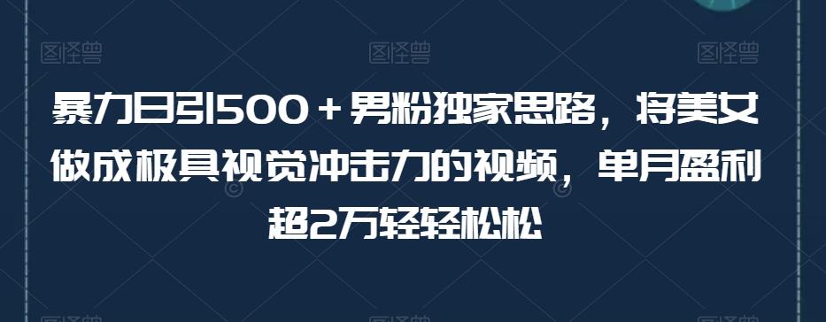 暴力日引500＋男粉独家思路，将美女做成极具视觉冲击力的视频，单月盈利超2万轻轻松松-爱找项目网