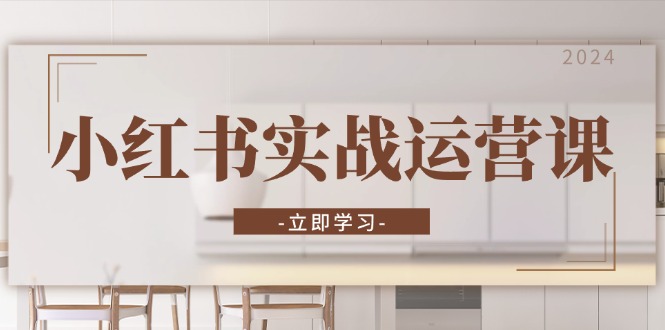 小红书实战运营课：从开通店铺到直播话术，打造爆款笔记与高效直播-爱找项目网