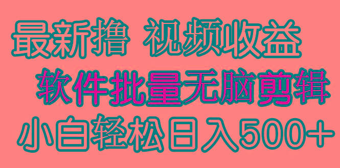 (9569期)发视频撸收益，软件无脑批量剪辑，第一天发第二天就有钱-爱找项目网