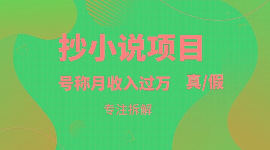 抄小说项目，号称月入过万，到底是否真实，能不能做，详细拆解-爱找项目网