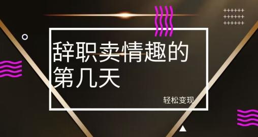 冷门赛道，辞职卖情趣的第几天，超暴力项目-爱找项目网
