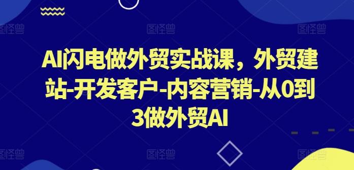 AI闪电做外贸实战课，​外贸建站-开发客户-内容营销-从0到3做外贸AI-爱找项目网