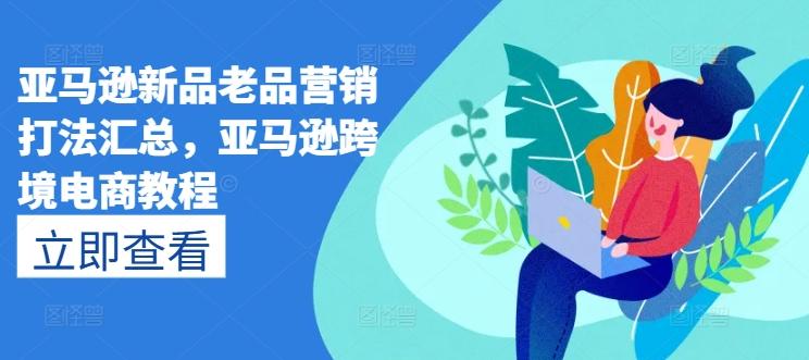 亚马逊新品老品营销打法汇总，亚马逊跨境电商教程-爱找项目网