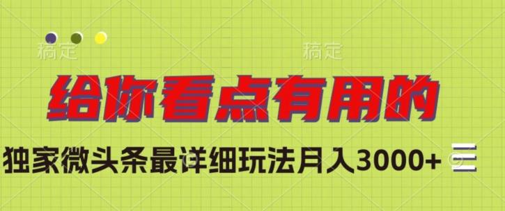 独家微头条最详细玩法，月入3000+【揭秘】-爱找项目网
