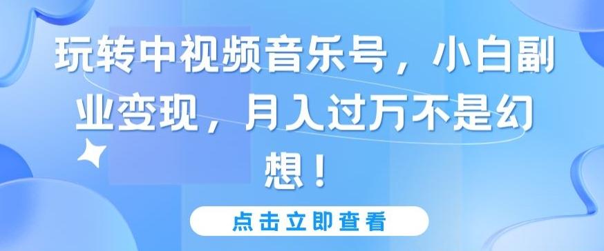 玩转中视频音乐号，小白副业变现，月入过万不是幻想【揭秘】-爱找项目网