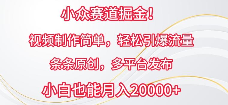 小众赛道掘金，视频制作简单，轻松引爆流量，条条原创，多平台发布【揭秘】-爱找项目网