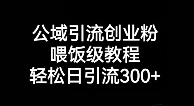 公域引流创业粉，喂饭级教程，轻松日引流300+【揭秘】-爱找项目网