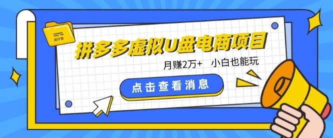 拼多多虚拟U盘电商红利项目：月赚2万+，新手小白也能玩-爱找项目网