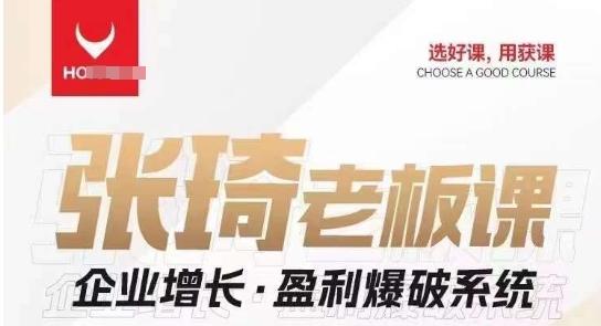 【组合课】张琦张琦老板企业增长·盈利爆破系统（直播专享）-爱找项目网