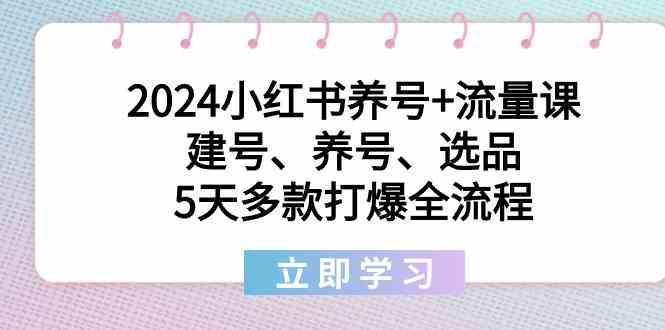 2024小红书养号+流量课：建号、养号、选品，5天多款打爆全流程-爱找项目网