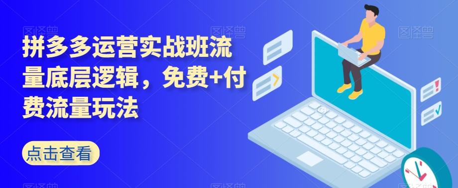 拼多多运营实战班流量底层逻辑，免费+付费流量玩法-爱找项目网