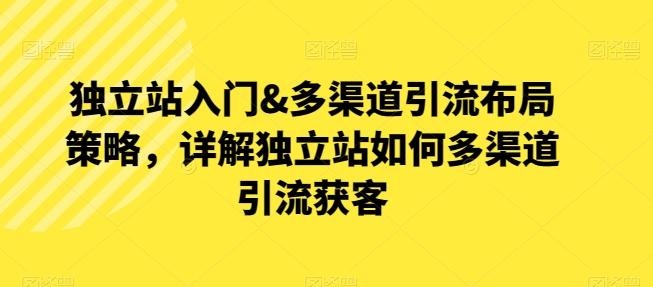独立站入门&多渠道引流布局策略，详解独立站如何多渠道引流获客-爱找项目网