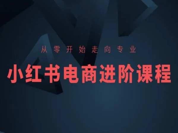 从零开始走向专业，小红书电商进阶课程-爱找项目网