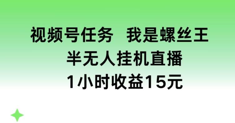 视频号任务，我是螺丝王， 半无人挂机1小时收益15元【揭秘】-爱找项目网