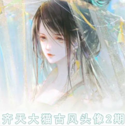 齐天大猫古风头像课第2期，帮助您提高您的绘画技能-爱找项目网