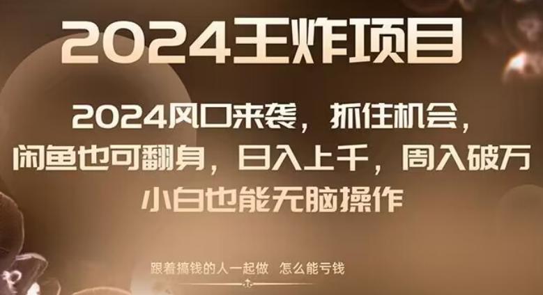 2024风口项目来袭，抓住机会，闲鱼也可翻身，日入上千，周入破万，小白也能无脑操作-爱找项目网