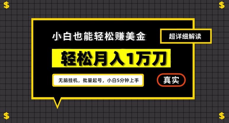 谷歌看广告撸美金2.0，无脑挂机，多号操作，月入1万刀【揭秘】-爱找项目网