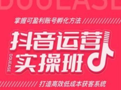抖音运营实操班，掌握可盈利账号孵化方法，打造高效低成本获客系统-爱找项目网