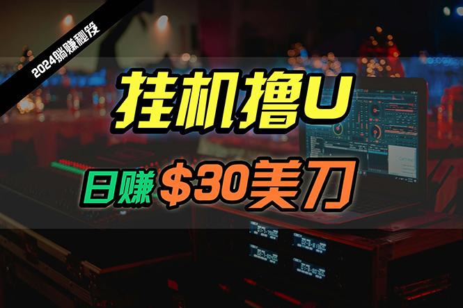 (10013期)日赚30美刀，2024最新海外挂机撸U内部项目，全程无人值守，可批量放大-爱找项目网