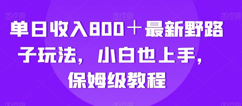 单日收入800＋最新野路子玩法，小白也上手，保姆级教程-爱找项目网