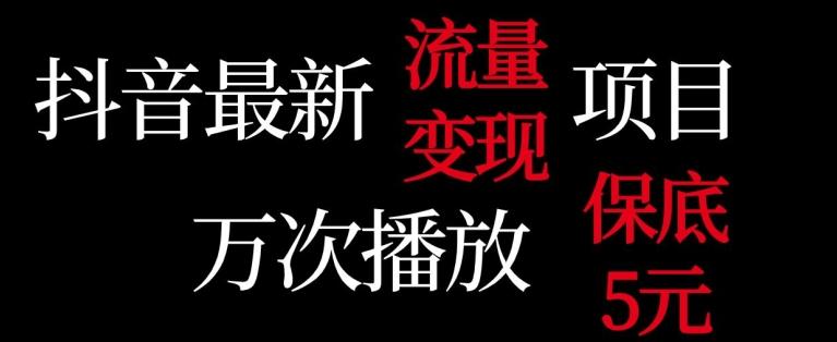 抖音流量变现，万次播放保底5元，额外收入-爱找项目网