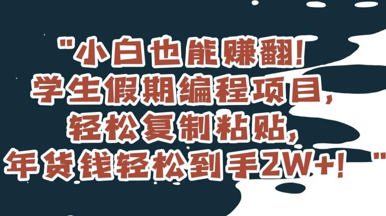 小白也能赚翻！学生假期编程项目，轻松复制粘贴，年货钱轻松到手2W+【揭秘】-爱找项目网