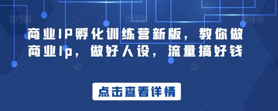 商业IP孵化训练营新版，教你做商业Ip，做好人设，流量搞好钱-爱找项目网