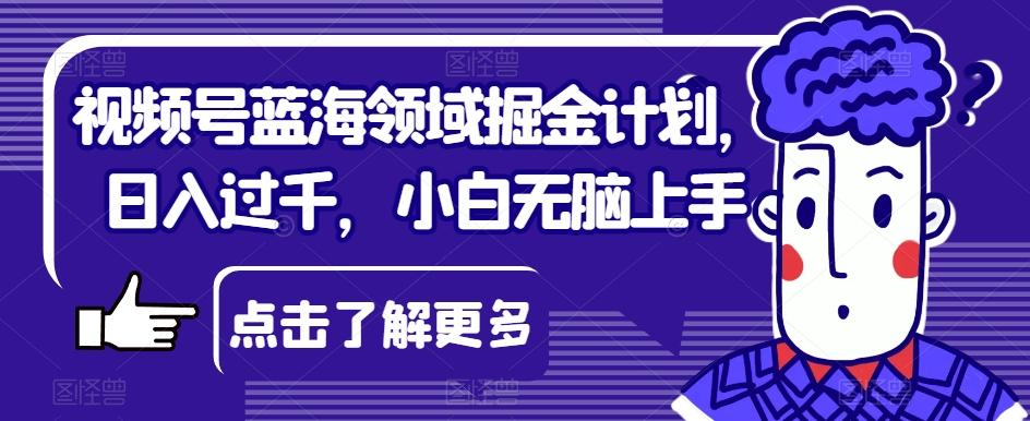 视频号蓝海领域掘金计划，日入过千，小白无脑上手【揭秘】-爱找项目网