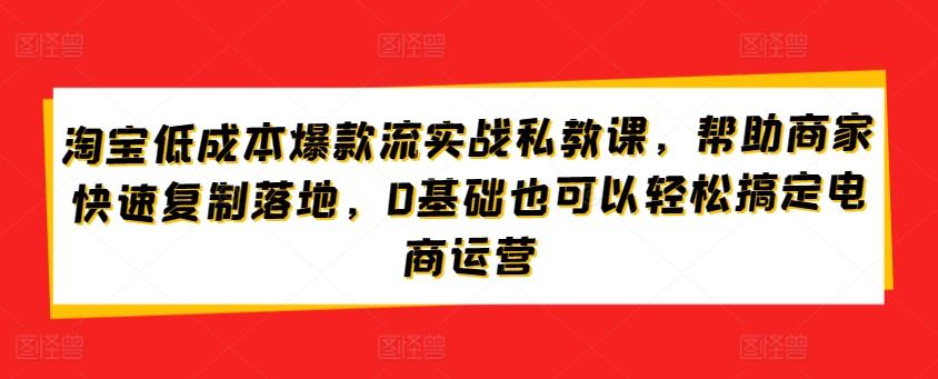 淘宝低成本爆款流实战私教课，帮助商家快速复制落地，0基础也可以轻松搞定电商运营-爱找项目网