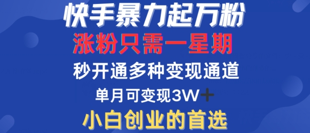 快手暴力起万粉，涨粉只需一星期，多种变现模式，直接秒开万合，单月变现过W【揭秘】-爱找项目网