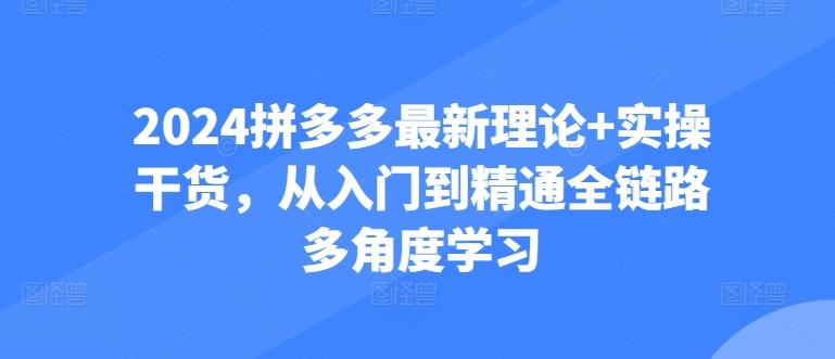 2024拼多多最新理论+实操干货，从入门到精通全链路多角度学习-爱找项目网