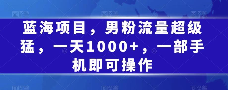 蓝海项目，男粉流量超级猛，一天1000+，一部手机即可操作【揭秘】-爱找项目网